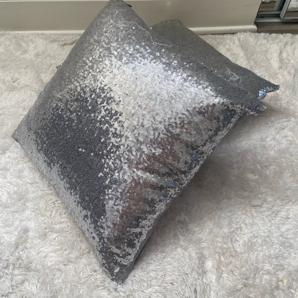 2 Decorative pillow covers (covers only)